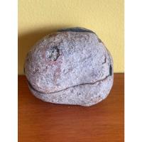 Piedra Fosil 100% Natural 425 Gr segunda mano  Colombia 