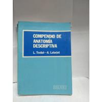 Usado, Compendio De Anatomía Descriptiva segunda mano  Colombia 