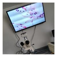 Microscopios segunda mano  Colombia 