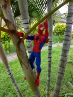 spiderman marvel segunda mano  Colombia 