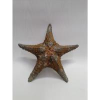 Estrella De Mar U.s.a De Colección Antigua, usado segunda mano  Colombia 