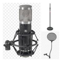 Microfono Sterling Audio St55 Class A Fet +antipop +proline segunda mano  Colombia 